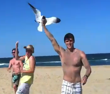 Man Hides in Sand and Catches Seagull with hands.